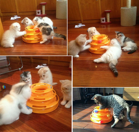 Three Levels Cat Toy Tower Tracks Disc