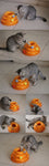 Three Levels Cat Toy Tower Tracks Disc